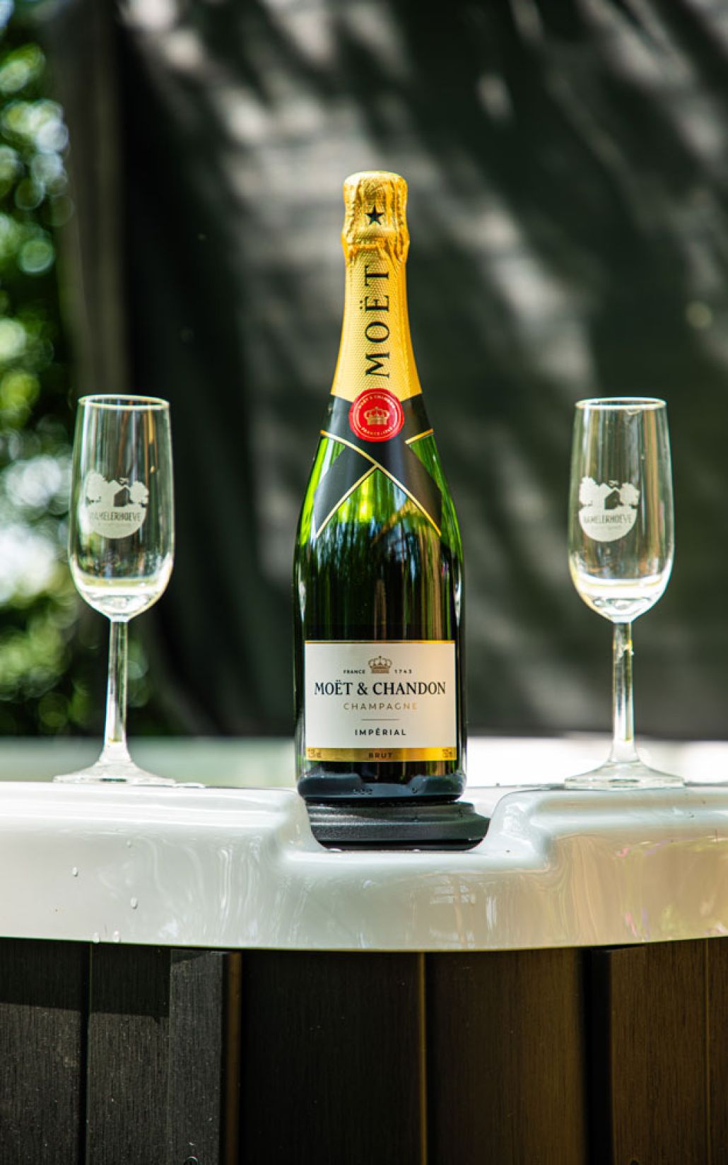 champagne